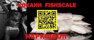 индика Сланцы