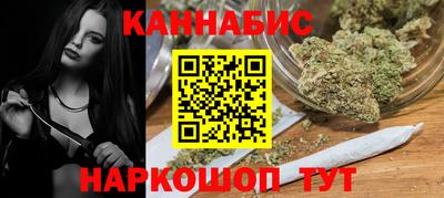 индика Сланцы