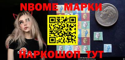 индика Сланцы