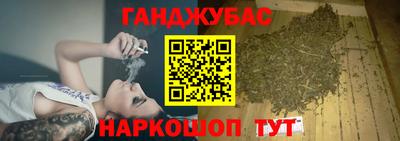 индика Сланцы