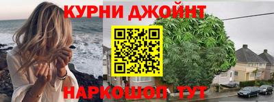 индика Сланцы