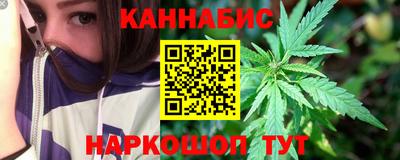 индика Сланцы