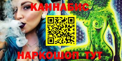 индика Сланцы