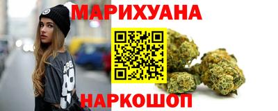 МДПВ Славгород