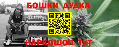 МДПВ Славгород