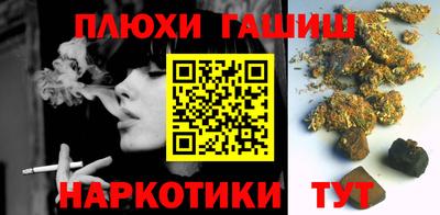 индика Сланцы