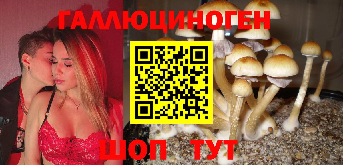 Галлюциногенные грибы MAGIC MUSHROOMS Углич